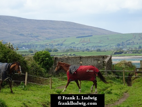 Culleenamore, County Sligo